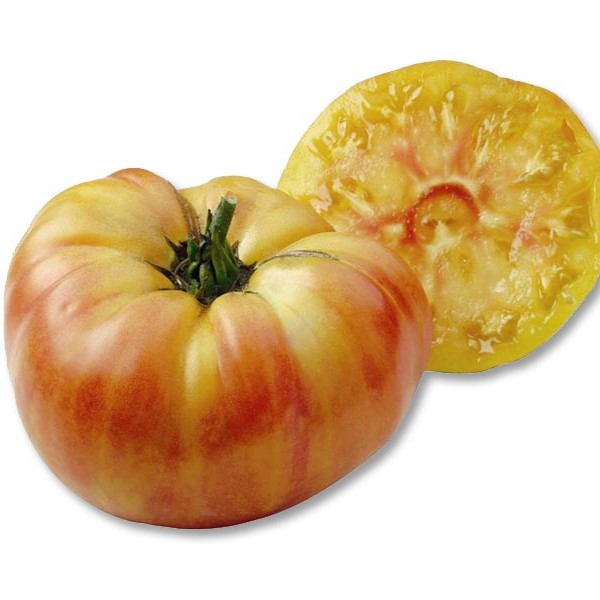 Tomate  jaune Ananas (plant)