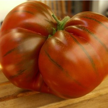 Tomate Arbuznyi (plant)