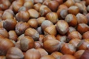 Noisetier Webb's Prize Cob (free) fruit.webp