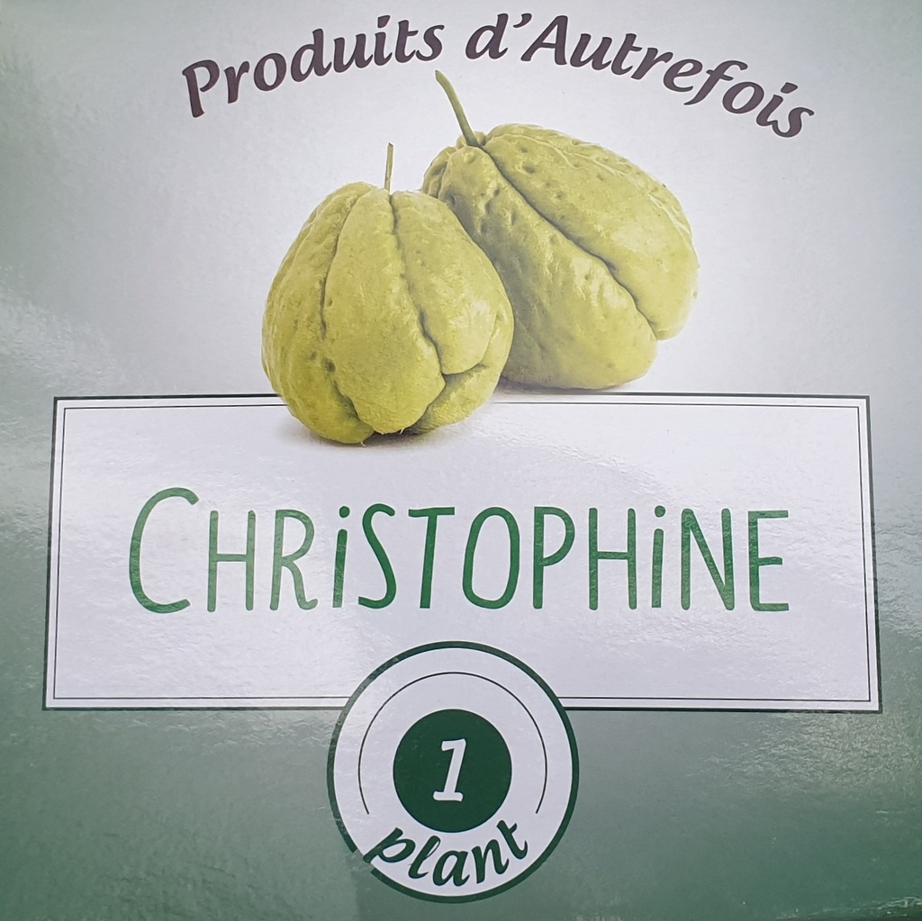 Christophine Chayotte
