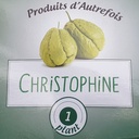 Christophine Chayotte