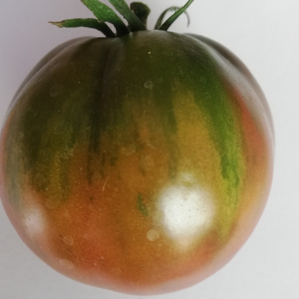 Tomate  noire Zigan (semence)