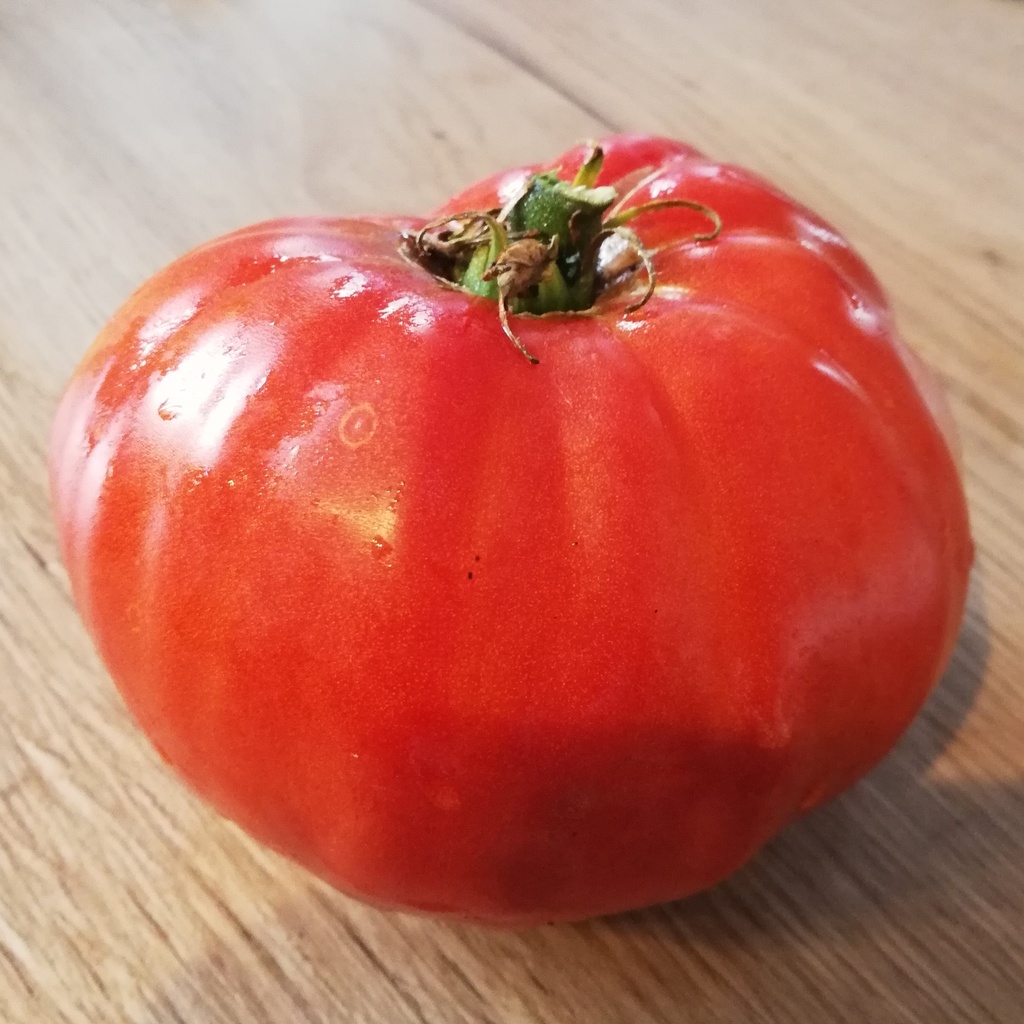 Tomate Cosmonaute Volkov (semence)