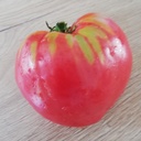 Tomate Reif's Red (semence)