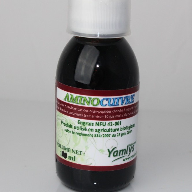 Amino-cuivre (100 ml)