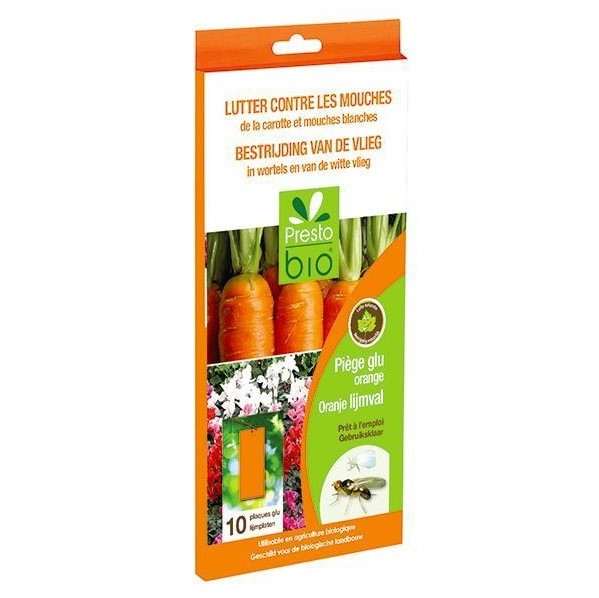 Piège à glu orange contre mouches de la carottes et blanches  (10 pièces)