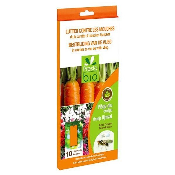 Piège à glue orange contre mouches de la carottes et blanches (10 pièces)