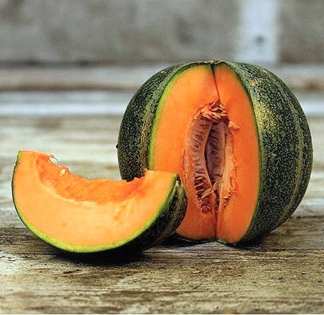 Melon Petit Gris de Rennes
 Plant en pot de 9x9x10 cm