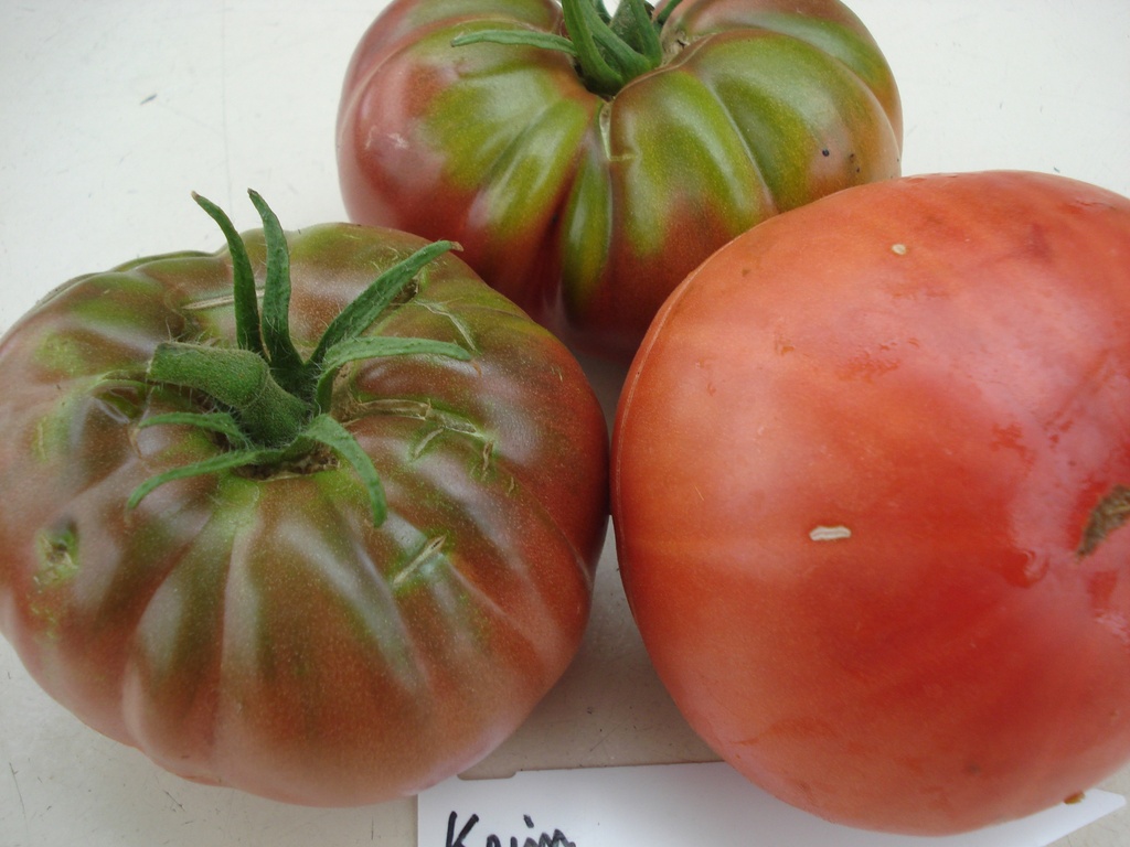Tomate  noire de Crimée
 Plant en pot de 8X8 cm