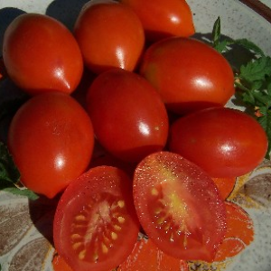 Tomate cocktail Fiaschetto
 Plant en pot de 8X8 cm