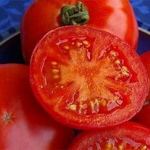 Tomate Crimson Crush F1
 Plant en pot de 9X9 cm