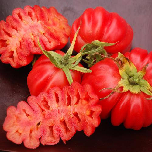Tomate Zapotec
 Plant en pot de 8X8 cm