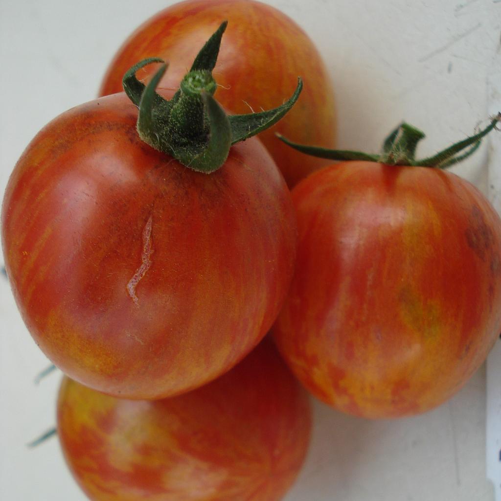 Tomate cerise Pink Bumble Bee (semence)