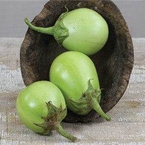Aubergine verte Apple Green (semence)