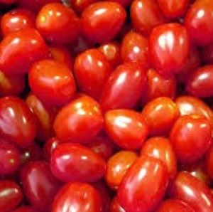 Tomate cerise Raisin rouge
 Plant en pot de 8X8 cm