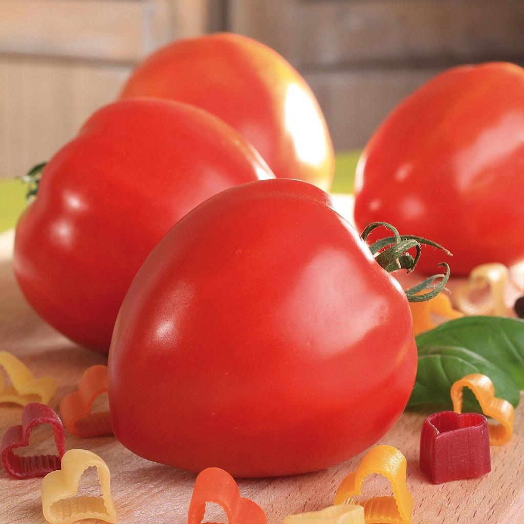 Tomate Fleurette F1, cœur de bœuf
 Plant en pot de 9X9 cm