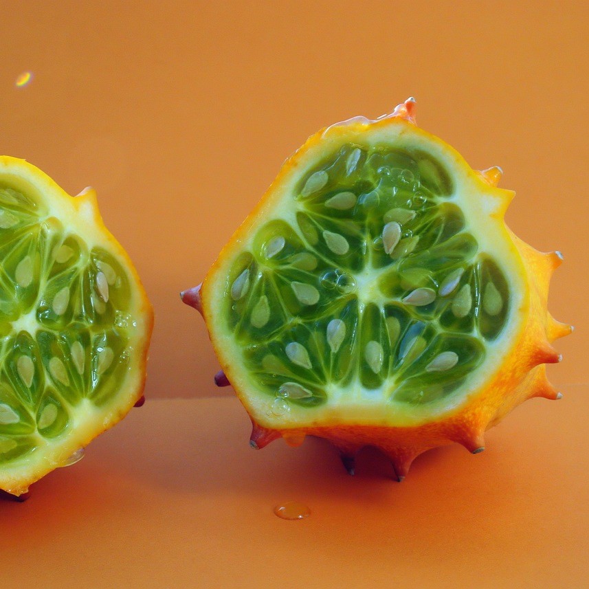 Melon cornu Kiwano
 Plant en pot de 11X11 cm