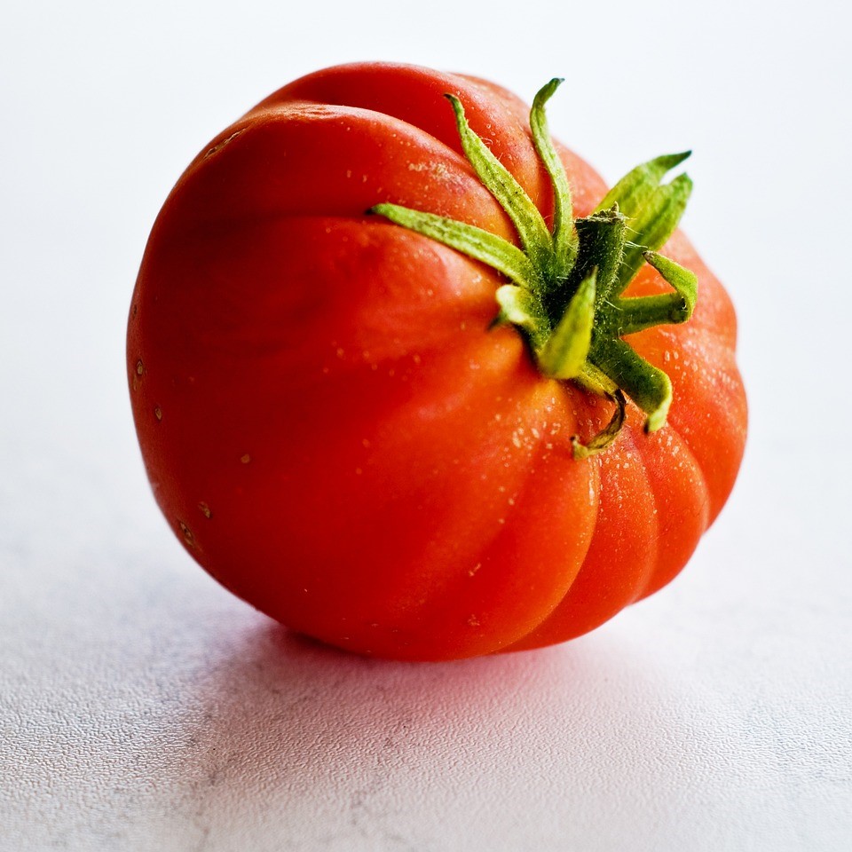 Tomate greffée  Gourmandia F1
 Plant en pot de 11X11 cm