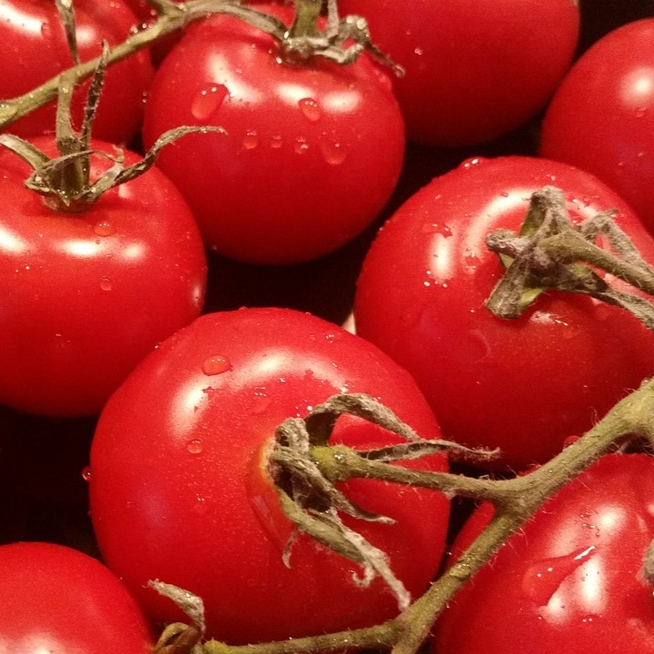 Tomate Pyros F1
 Plant en pot de 9x9x10 cm