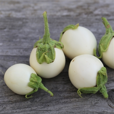 Aubergine blanche Plante à œufs (semence)