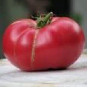 Tomate  noire Black Mountain Pink (semence)