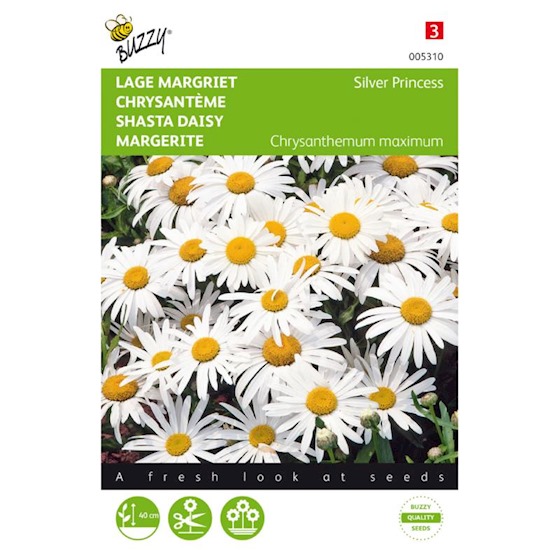 Marguerite des Prés Petite Princesse d'Argent (Semences)