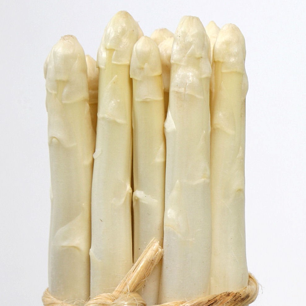 Asperge Super Agenteuil (Semences)