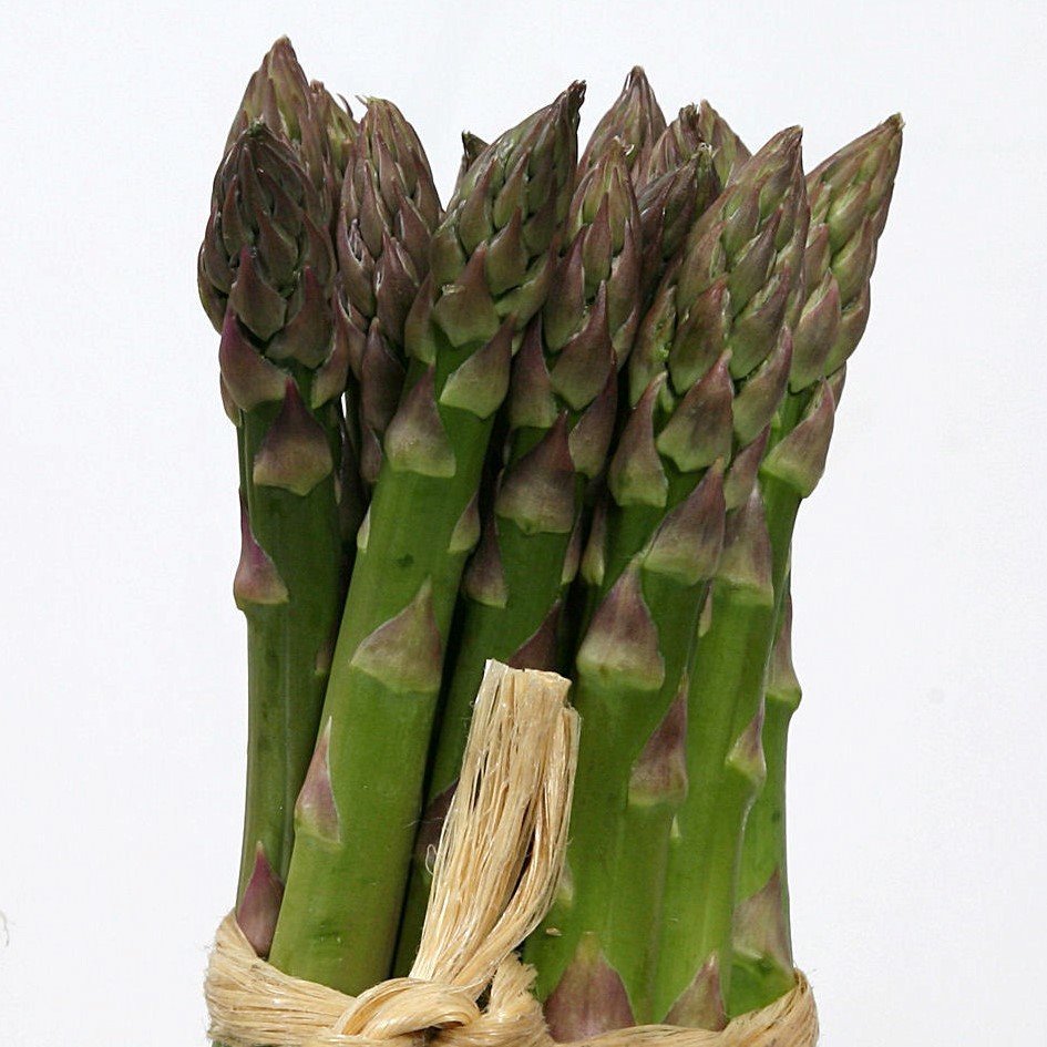 Asperge Voltaire (Semences)