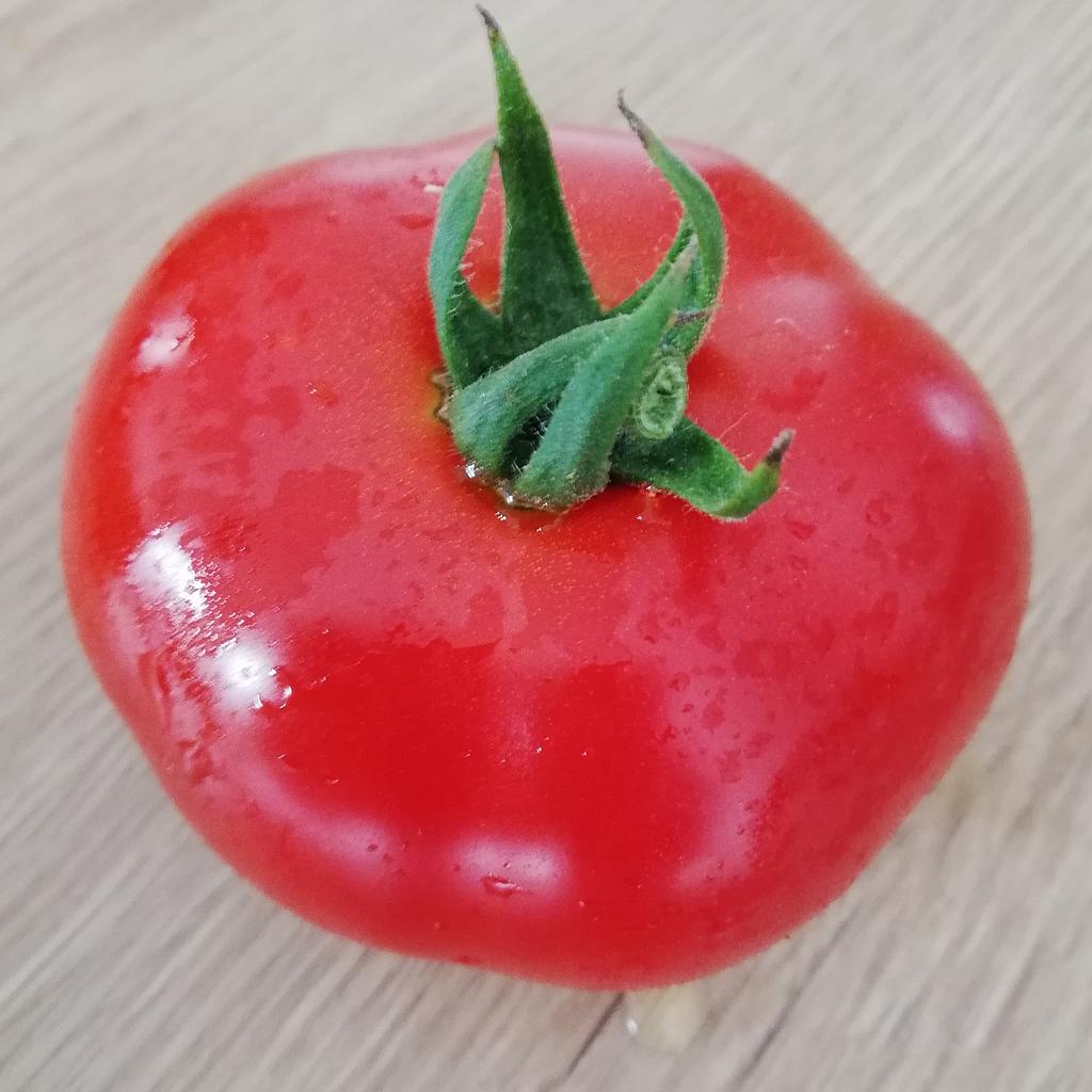 Tomate Rondobella (semence)