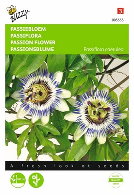 Passiflore à fleur bleu étoilée (Semences)