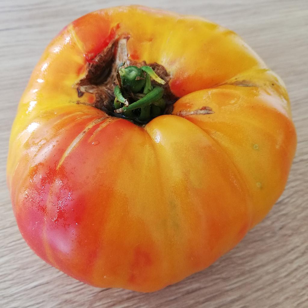 Tomate Striped German (semence)