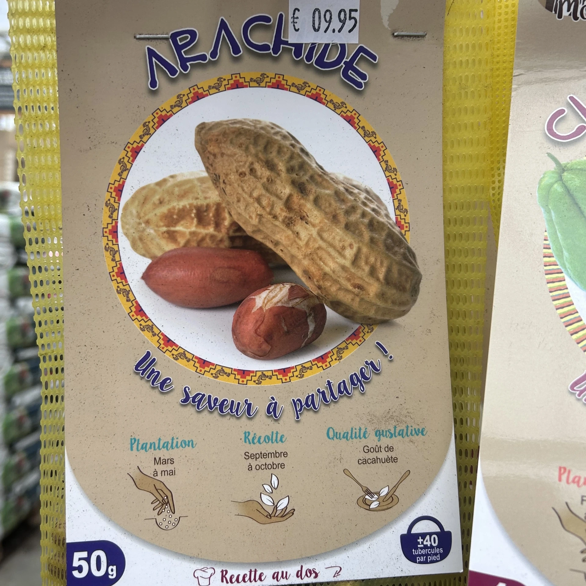 Arachide Cacahuette 20 coques