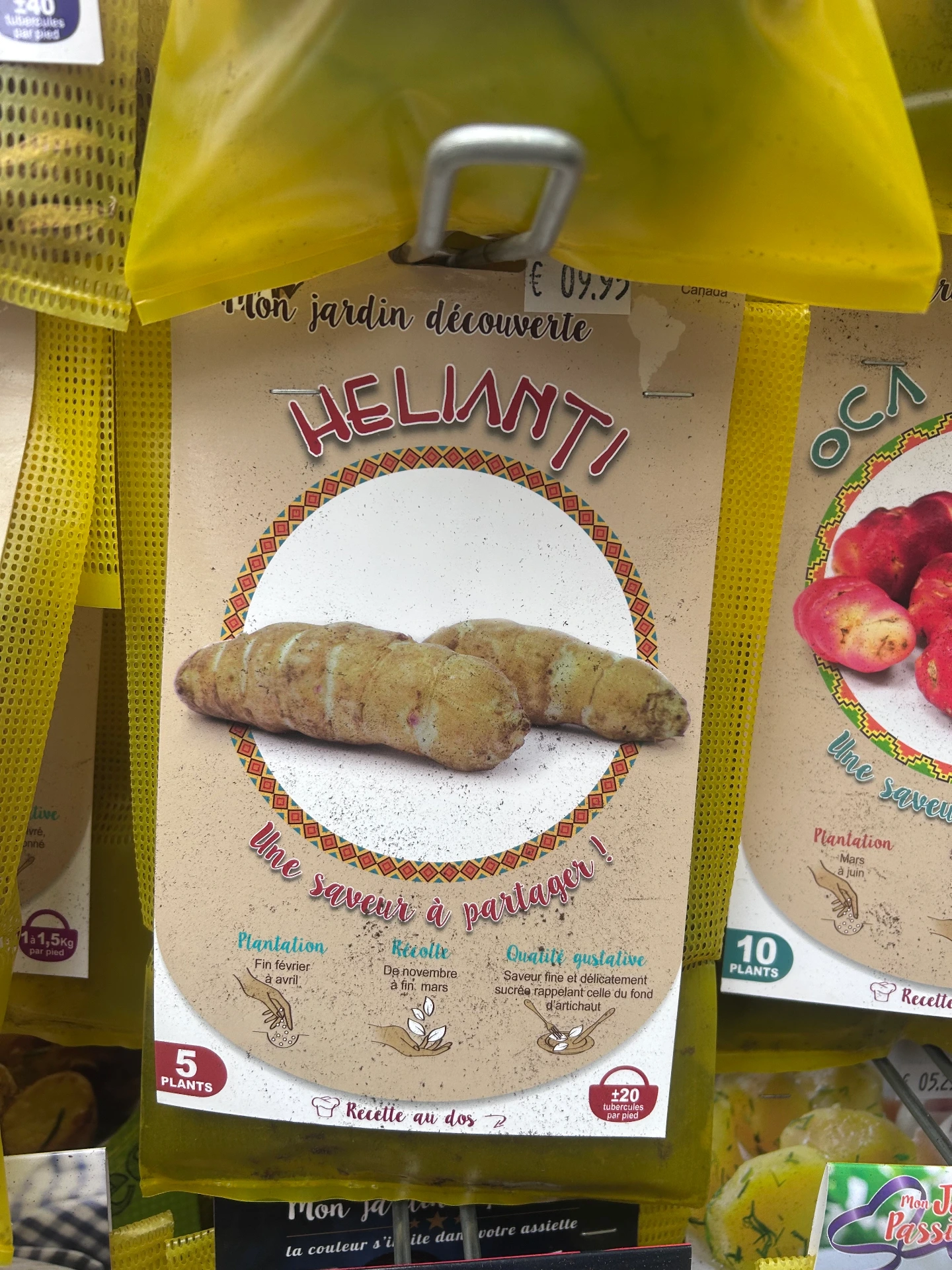 Helianti 5 pièces