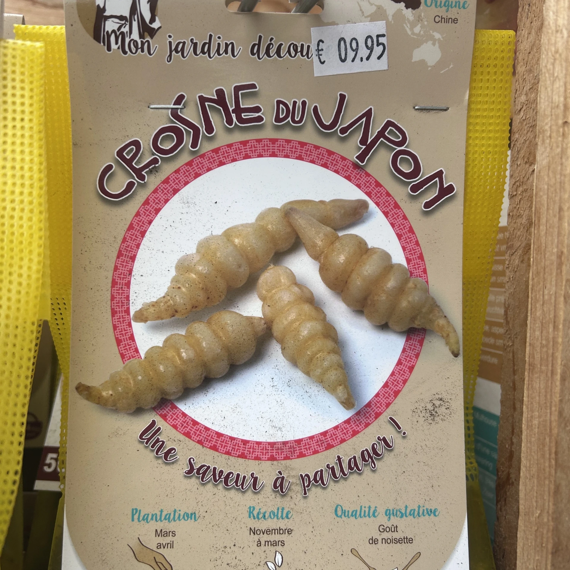 Crosne du Japon 50 g