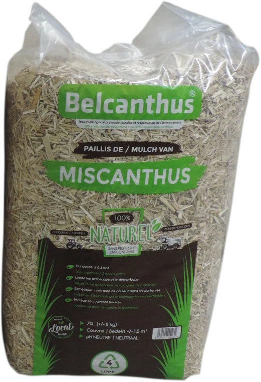 Belcanthus 70 L