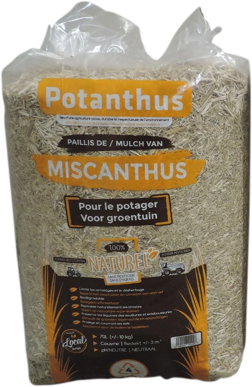 Potanthus 70 L