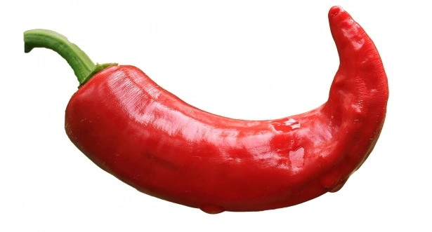 Piment très fort Baklouti P8X8
