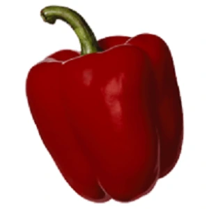 Poivron carré Beluga® Red F1 (Bontempi) P9X9