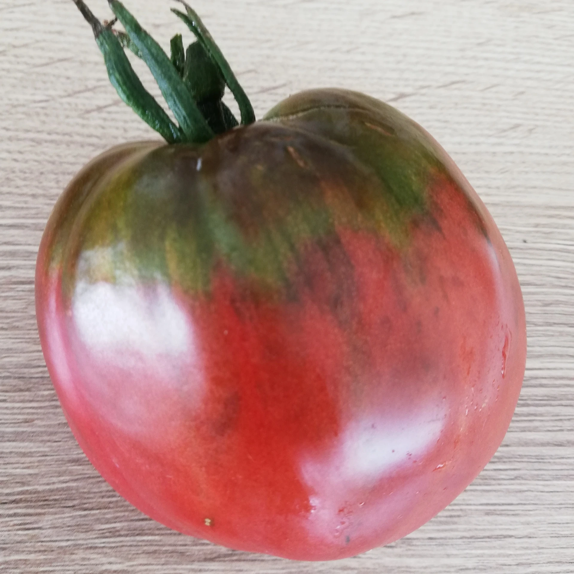Tomate Coeur de boeuf noire P8X8