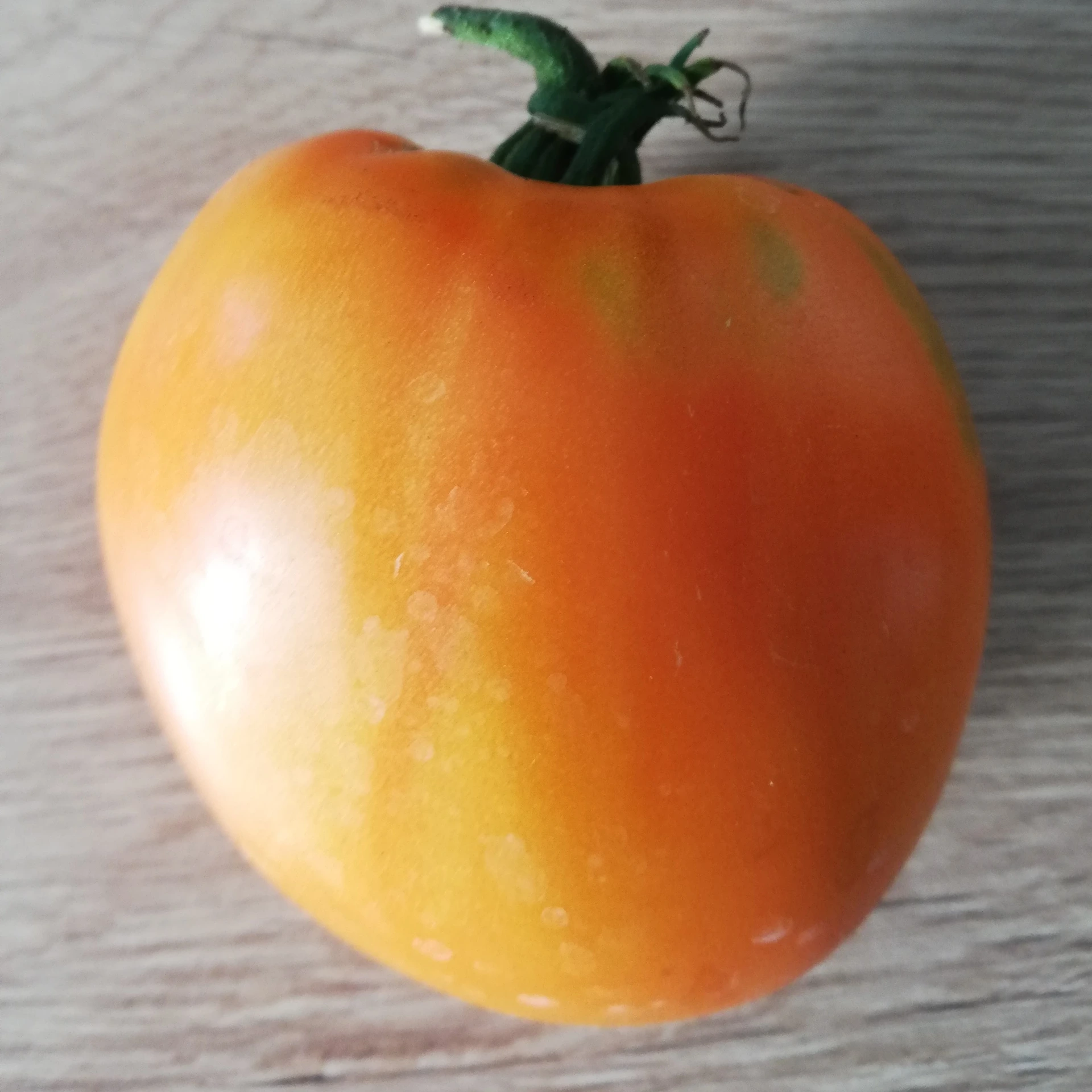 Tomate Coeur de boeuf orange P8X8