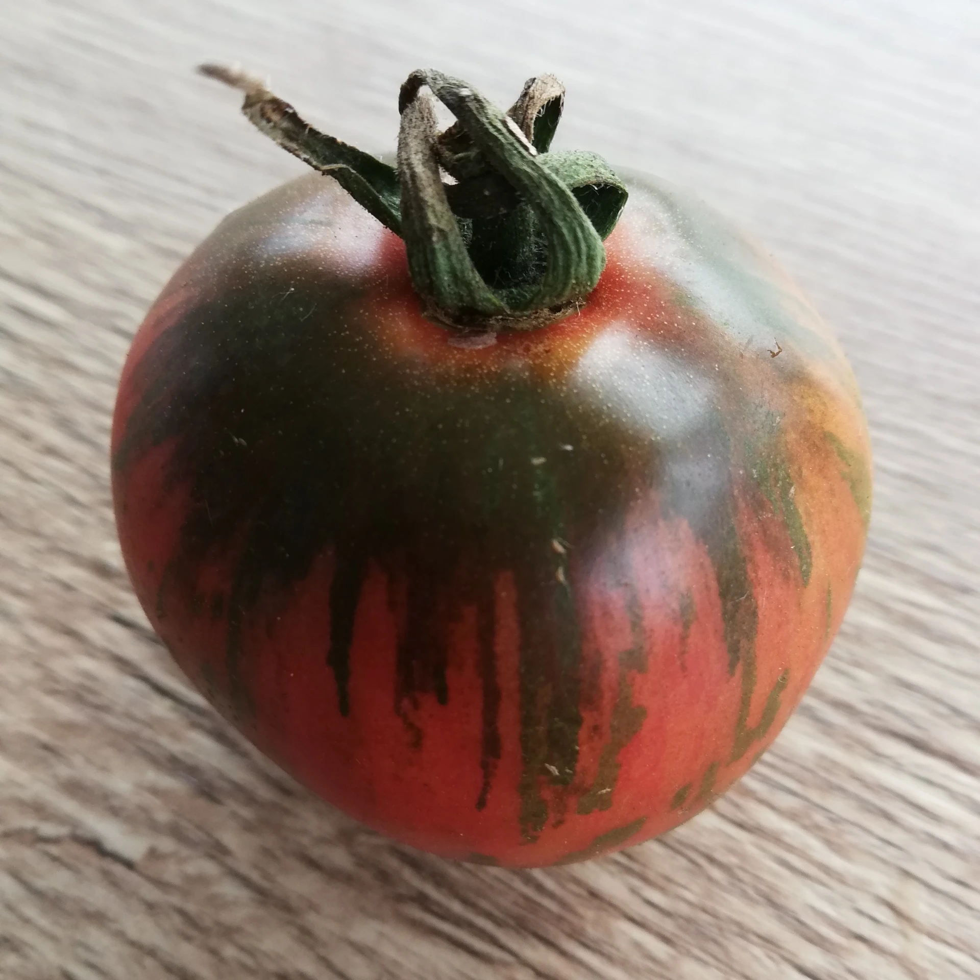Tomate Violet Jasper P8X8