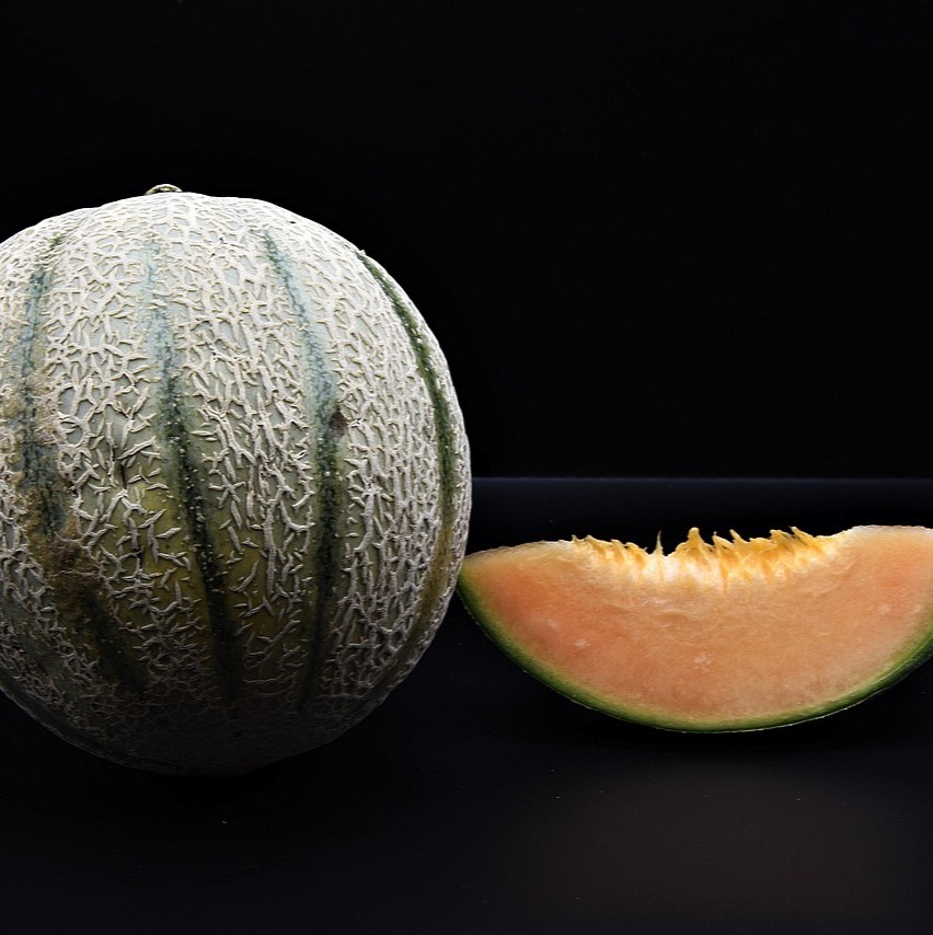 Melon Cavaillon Stellio F1
 Plant en pot de 9x9x10 cm