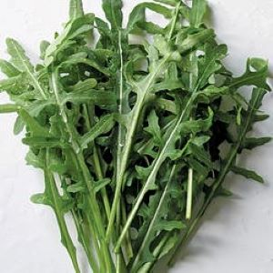 Roquette  Frastagliata (semence)