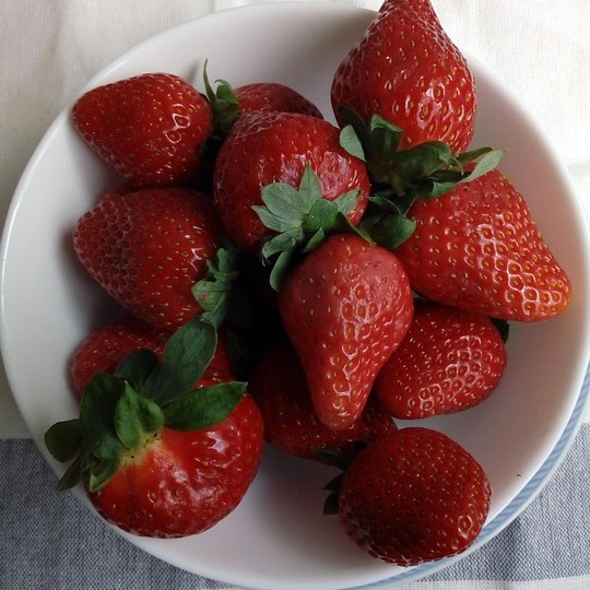 Fraisier Cabrillo

 Plant en pot de 9x9x10 cm