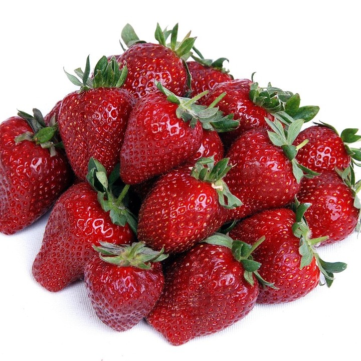 Fraisier Harmony

 Plant en pot de 9x9x10 cm