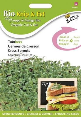 Graines à germer de cresson (Semences)