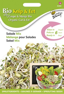 Graines à germer de salades en mélange (Semences)