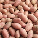 Pomme de terre Franceline