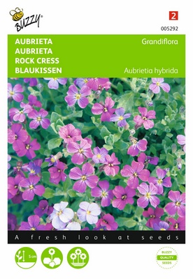 Aubrieta grandiflora (Semences)