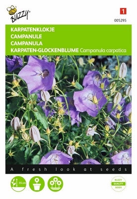 Campanule capartica (Semences)